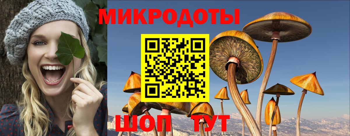 Галлюциногенные грибы мицелий  как найти наркотики  Искитим  Вход с VPN 